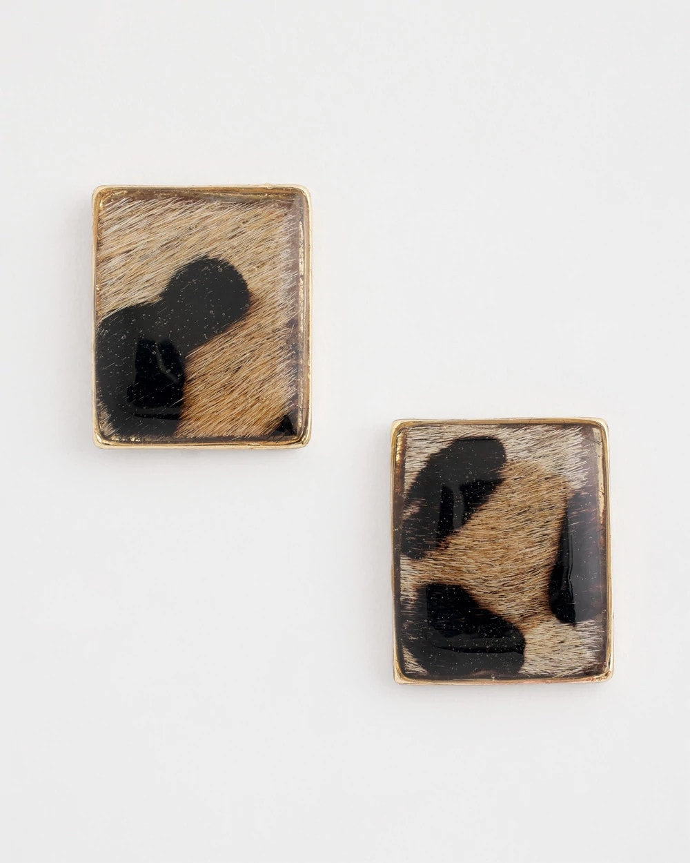 Chico's - Chico's Originals Animal Square Stud Earrings