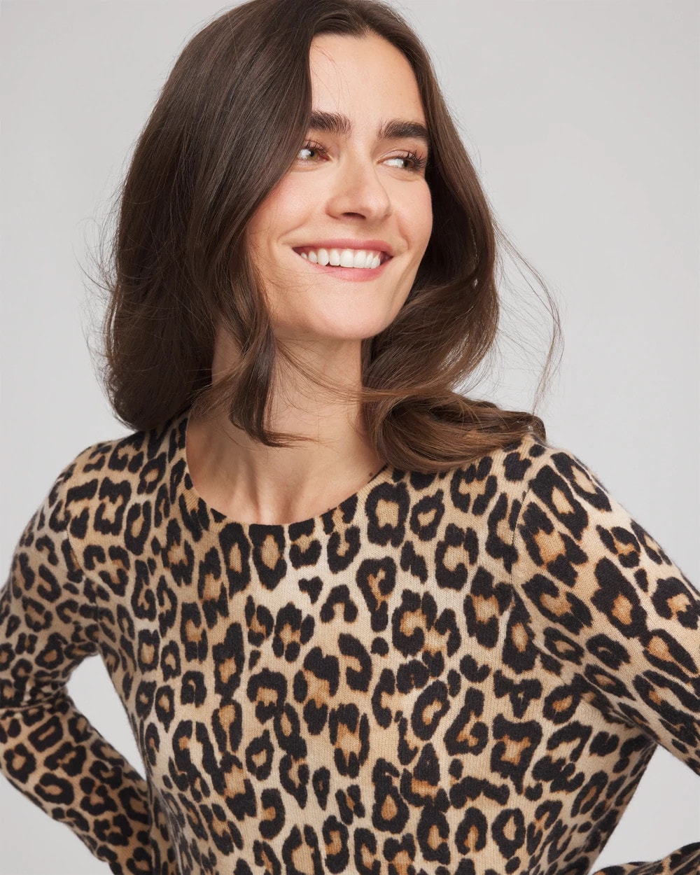 Chico's - Cashmere Animal Long-Sleeve Pullover Sweater