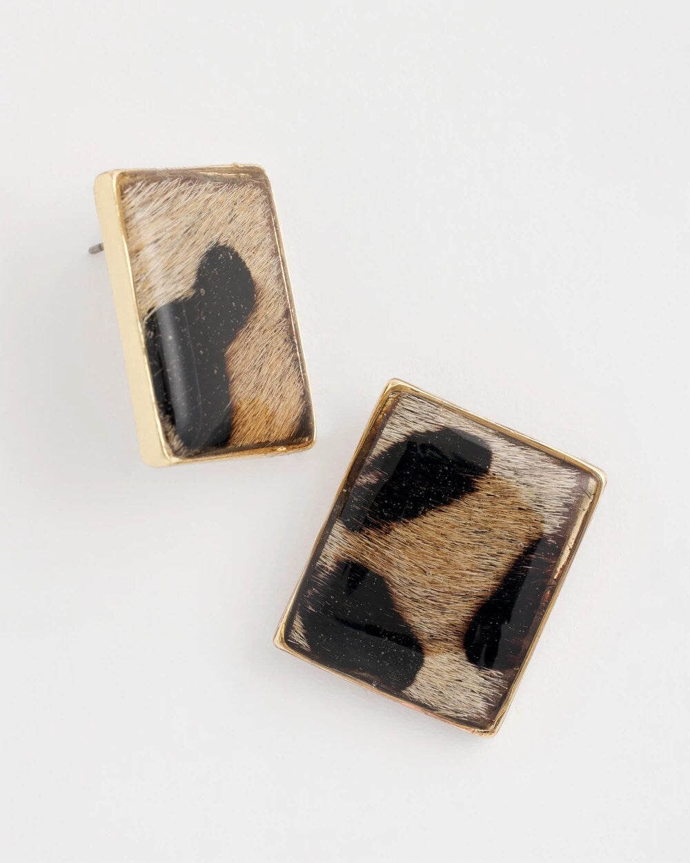 Chico's - Chico's Originals Animal Square Stud Earrings
