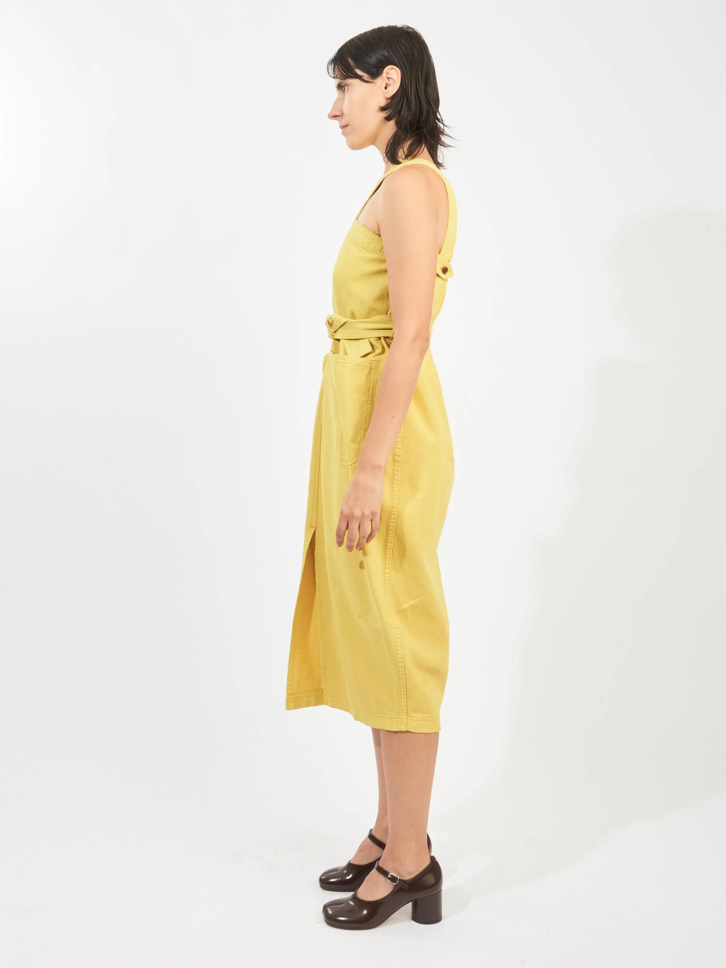 Citron Delanta Dress