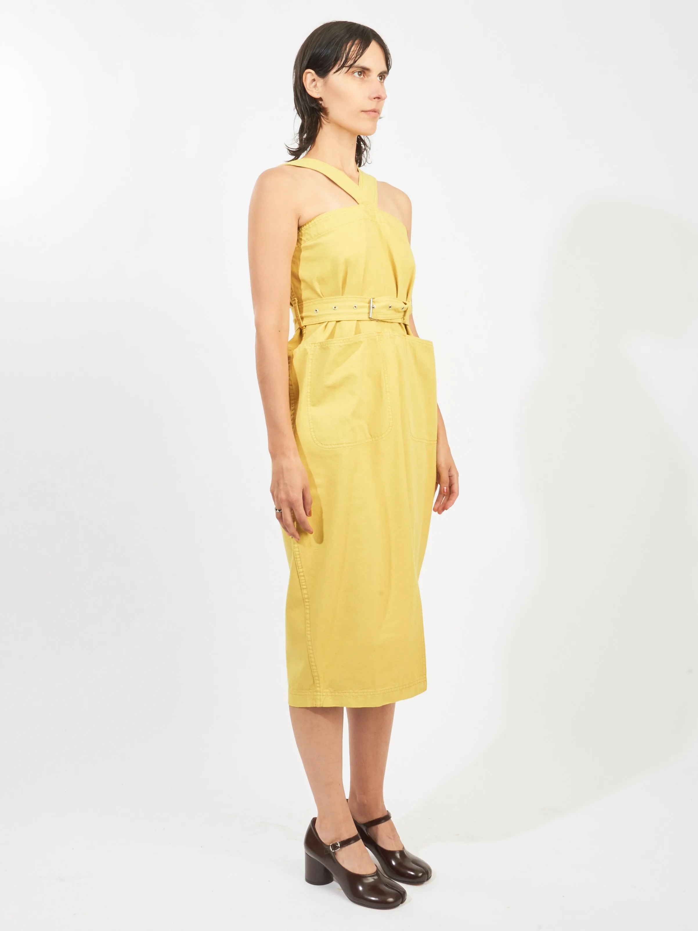 Citron Delanta Dress