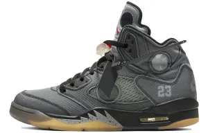 Jordan Air Jordan 5 Vintage Basketball Unisex sneakers, gray