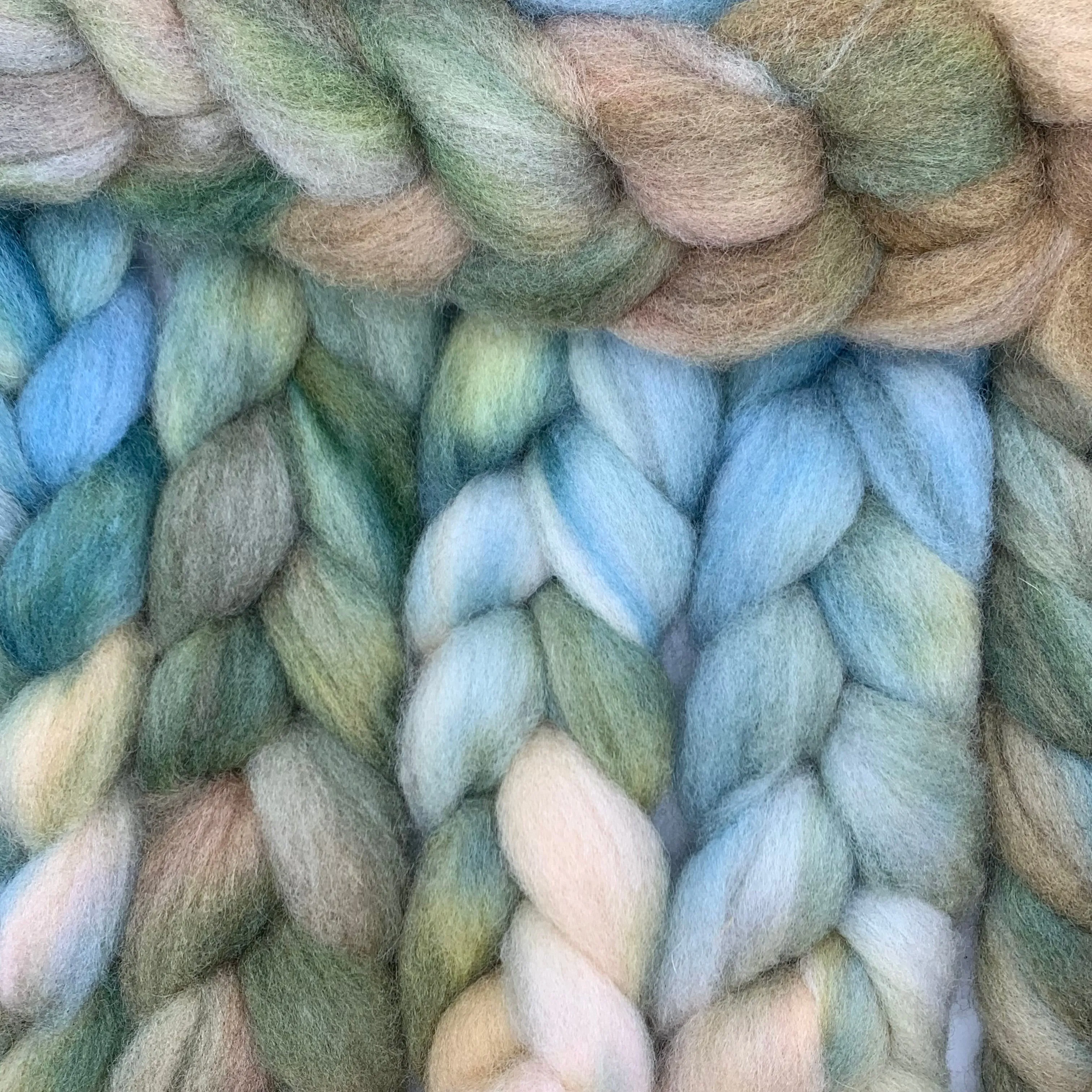 Wool  Box: Texel